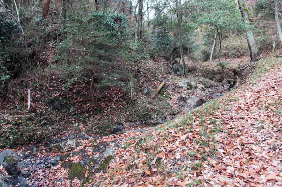 �������̏㗬��